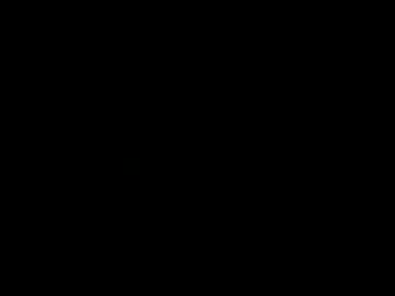 gerchys65